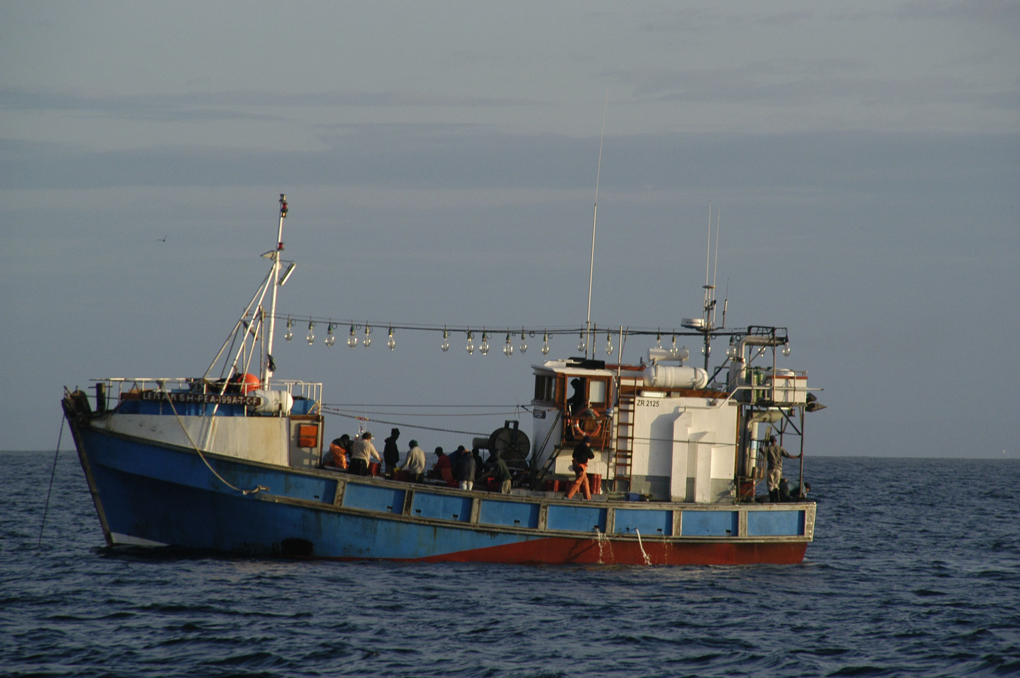 Squid Fishing Boat